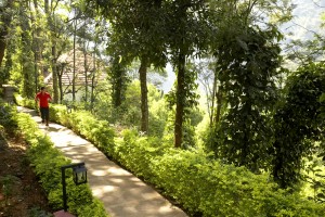 Pathway