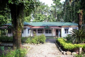 Garden Encircling the Bungalow