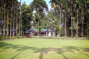 Lawn Area