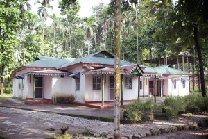 Bungalow View