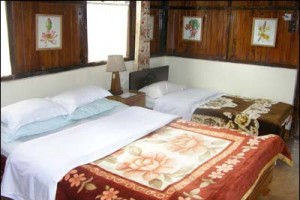 Wood Cot Room Wood Cot Room