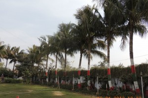Garden Area