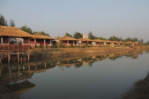 Serene Landscape