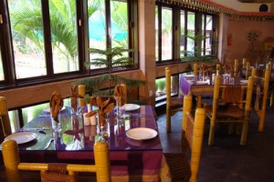 Dine Dine