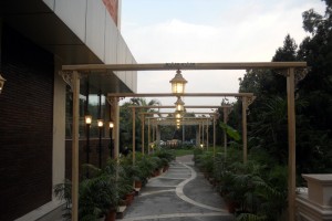 Lawn Area