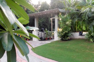 Garden Area