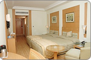 Deluxe Room Deluxe Room
