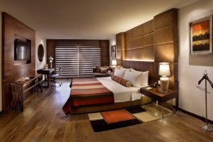 Luxury Suite Luxury Suite