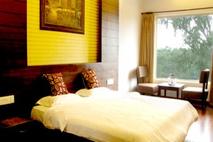 Comfortable Room Comfortable Room