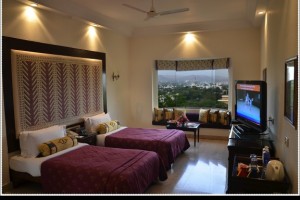 Deluxe Valley View Room