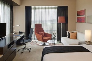 Luxury Room Luxury Room