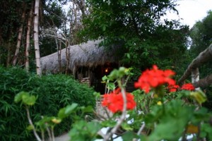 Coffee Hut