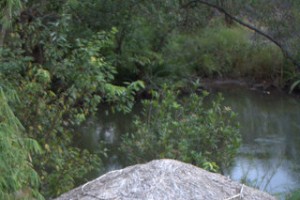 River side Barbeque