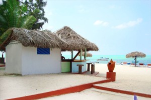 Cottage View