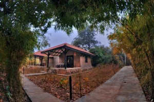 Lodge Accommodation