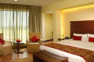 Plush Room Interior