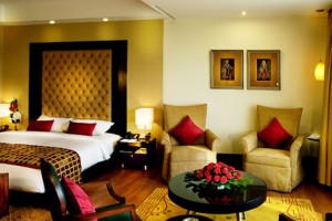 Luxurious Room