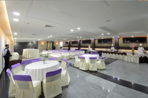 Organise Parties
