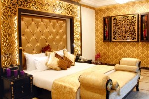 Plush Room Interior