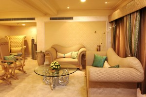 Plush Living Room Plush Living Room