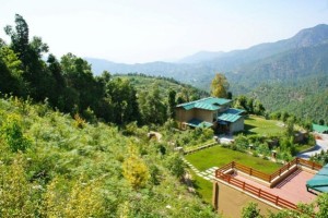 Amidst Lush Greenery