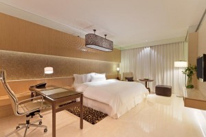 Luxury Room Luxury Room