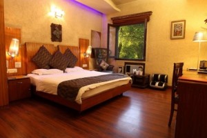 Plush Room Interior Plush Room Interior
