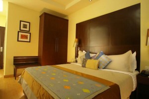Plush Superior Room Plush Superior Room