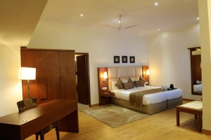 Well-furnished Room