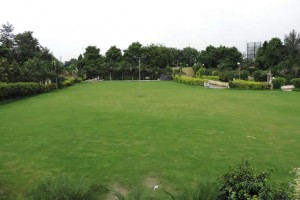 Garden Area