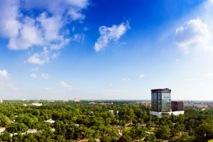 Hotel View