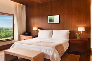 Executive Suite Executive Suite