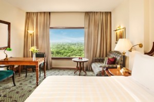 Luxury Room Luxury Room