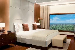 Plush Room Interior Plush Room Interior
