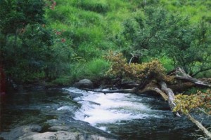 Gavi Waterfalls Gavi Waterfalls