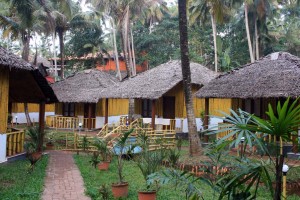 Bamboo cottages
