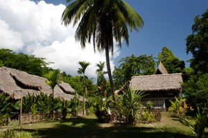 Cottage Amidst Garden