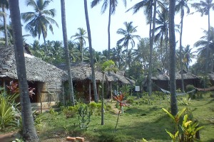 Cottage surrounding the garedens