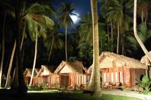 Cottage View at Night