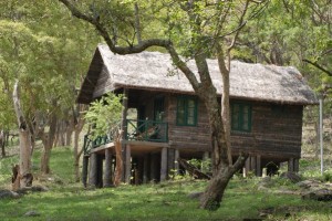 Cottage