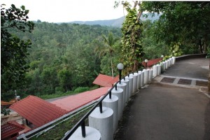 Way to the Resort Way to the Resort