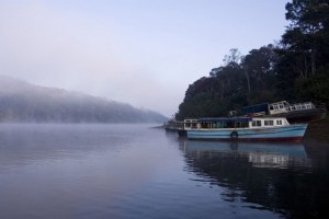 The Lake The Lake