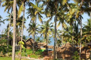 Resort view