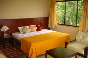 Room1