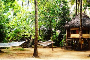 Shiva treehouse