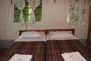 1tent-bed 1tent-bed