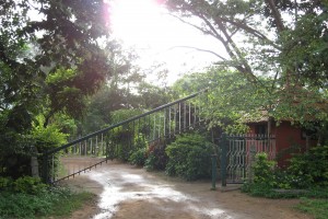 Entrance Entrance