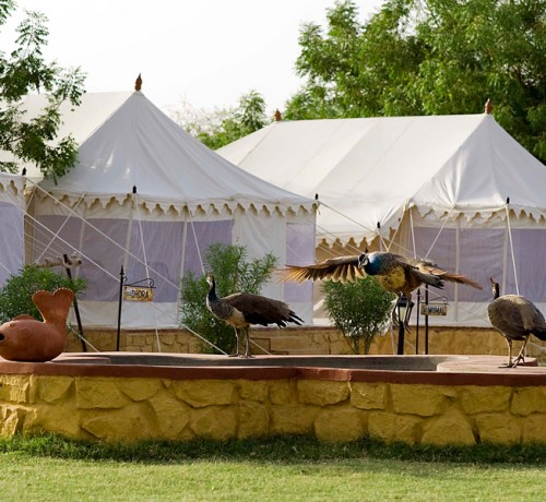 Tents at the resort
