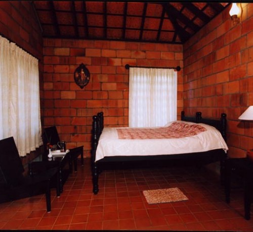 Misty Woods Misty Woods