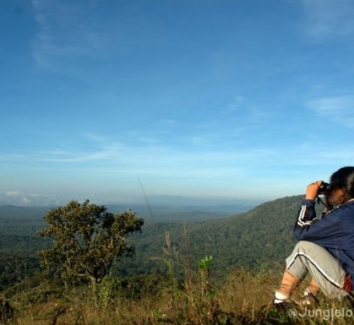Bandipur Safari Lodge